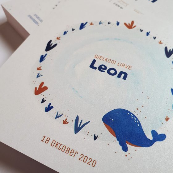 Geboortekaart Leon van Shellsey Lagaet
