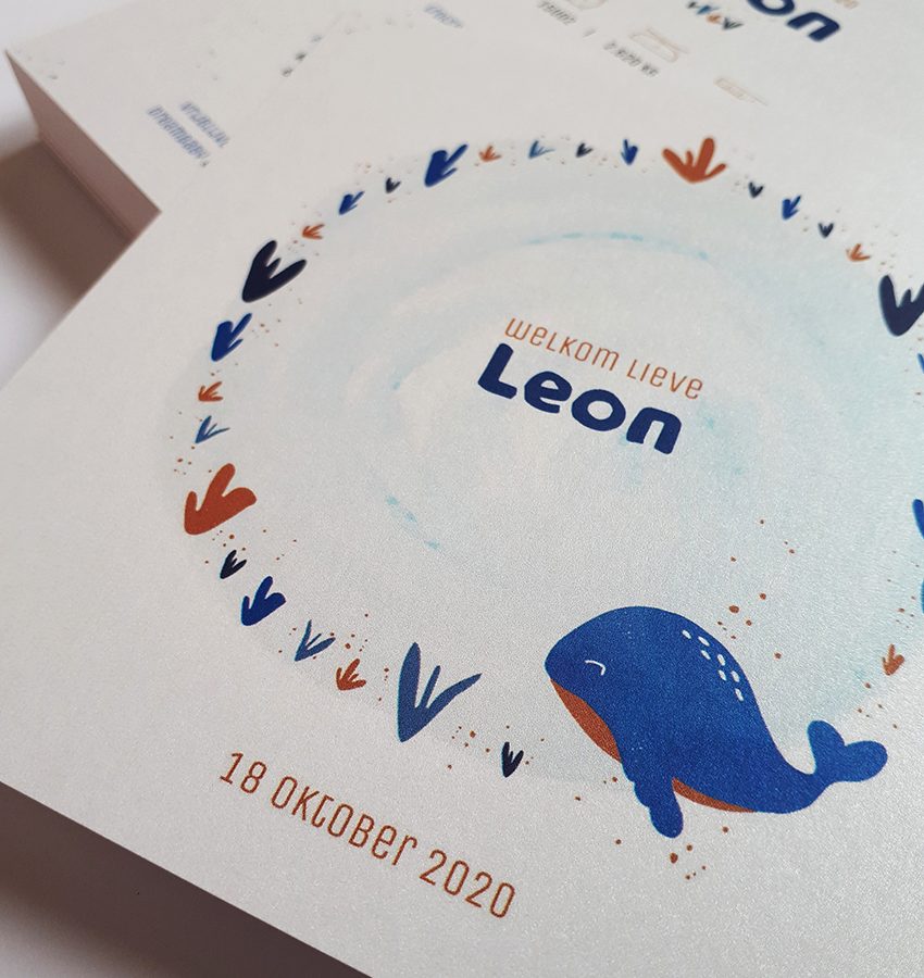 Geboortekaart Leon van Shellsey Lagaet